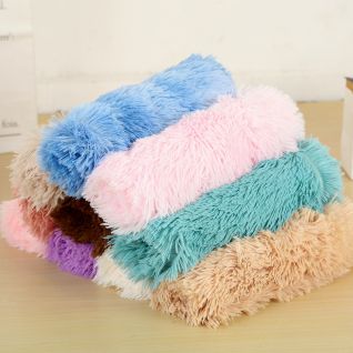 dog bed cat bed